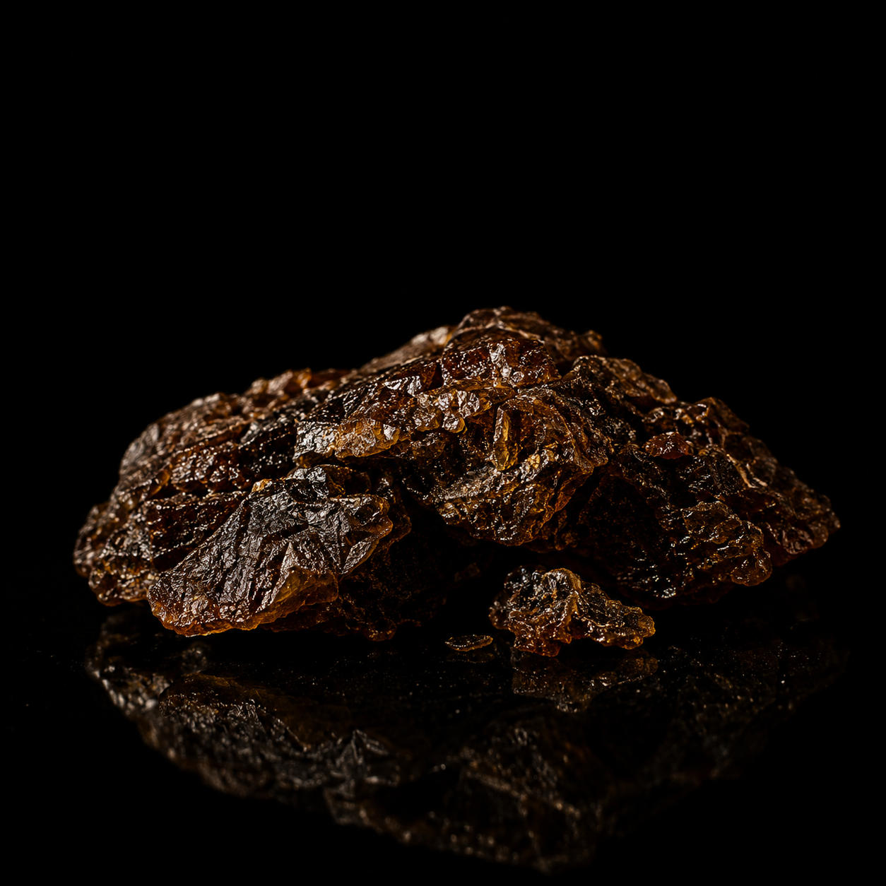 Reishi
